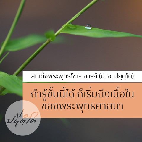 ถ้ารู้ขั้นนี้ได้ ก็เริ่มถึงเนื้อในของพระพุทธศาสนา