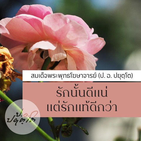 รักนั้นดีแน่ แต่รักแท้ดีกว่า