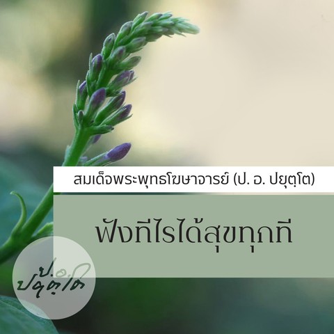 ฟังทีไร ได้สุขทุกที