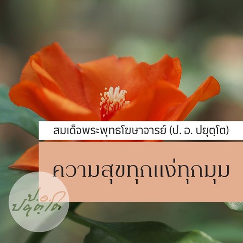 ความสุข ทุกแง่ทุกมุม