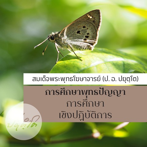 การศึกษาพุทธปัญญา ชุดที่ ๓ การศึกษาเชิงปฏิบัติการ