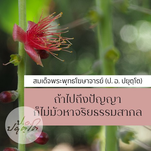 ถ้าไปถึงปัญญา ก็ไม่มัวหลงหาจริยธรรมสากล