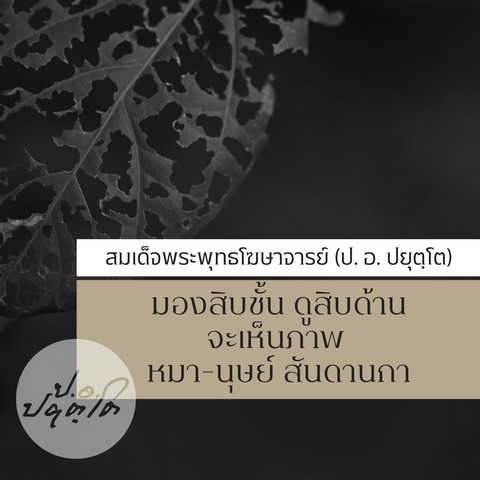 มองสิบชั้น ดูสิบด้าน จะเห็นภาพ หมา-นุษย์ สันดานกา