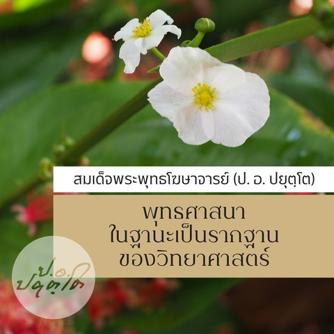 พุทธศาสนาในฐานะเป็นรากฐานของวิทยาศาสตร์
