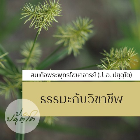 ธรรมะกับวิชาชีพ