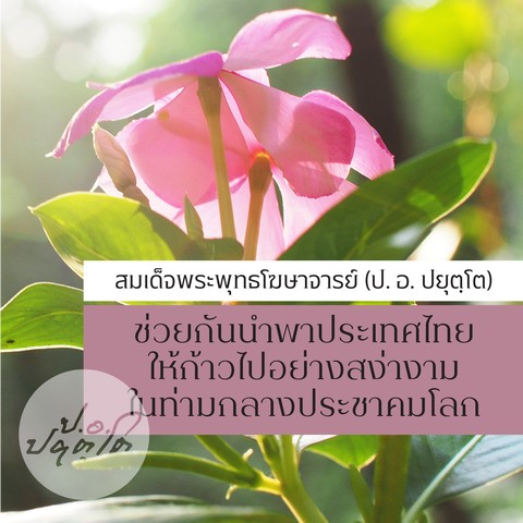 ช่วยกันนำพาประเทศไทย ให้ก้าวไปอย่างสง่างาม ในท่ามกลางประชาคมโลก