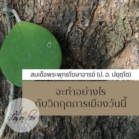 จะทำอย่างไรกับวิกฤตการเมืองวันนี้
